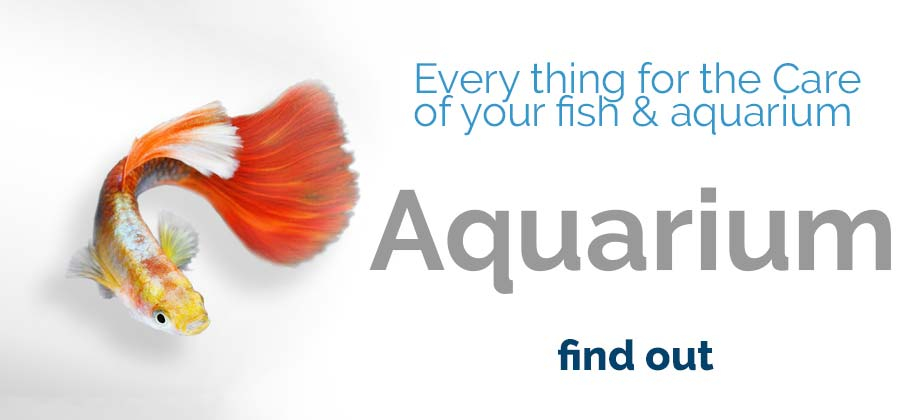 Fish &amp; Aquarium Products