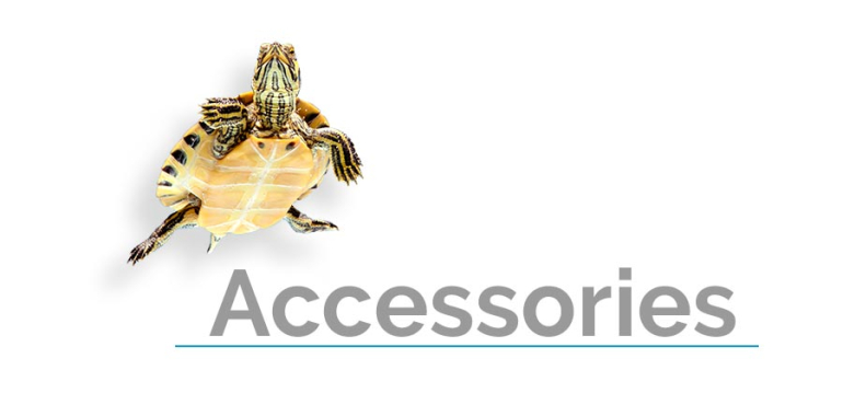 Turtle Accessories
