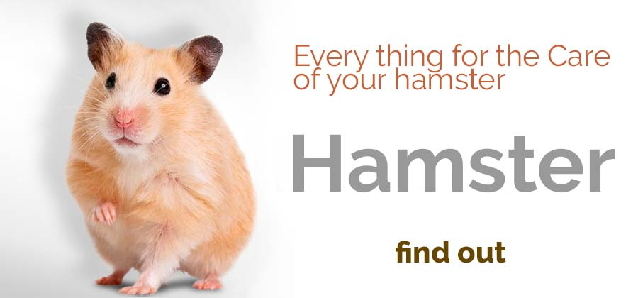 Hamster Products
